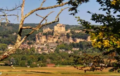 nabih el boustani cs mYAmy4pE unsplash